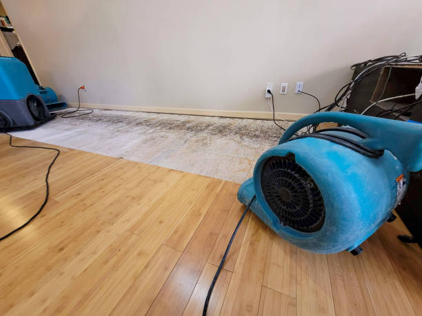 Reliable Basement Flood Cleanup contractor in Needham, MA by Hirex Water Damage