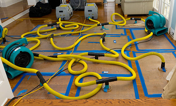 Professional Basement Flood Cleanup technician working in Needham, MA